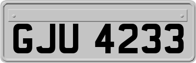 GJU4233