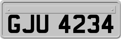 GJU4234