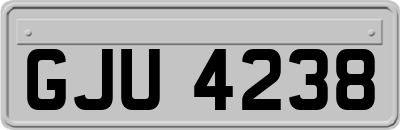 GJU4238