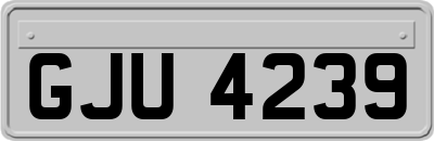 GJU4239