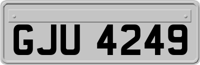GJU4249