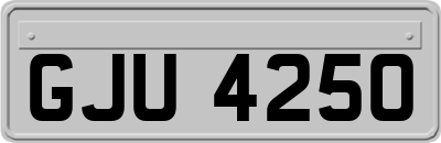 GJU4250