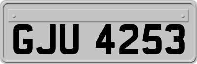 GJU4253