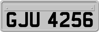 GJU4256
