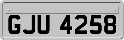 GJU4258