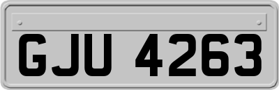 GJU4263