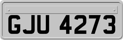 GJU4273