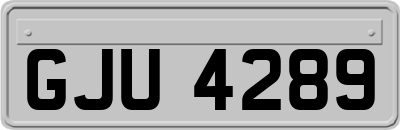 GJU4289