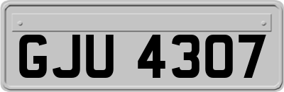 GJU4307