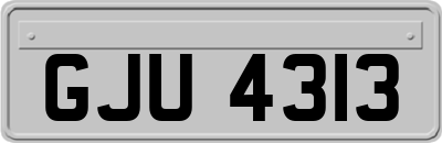 GJU4313