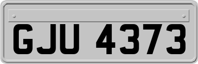 GJU4373