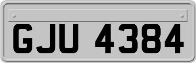 GJU4384