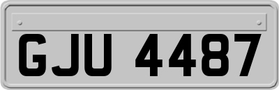 GJU4487