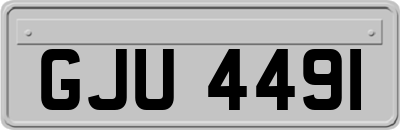 GJU4491