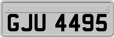 GJU4495