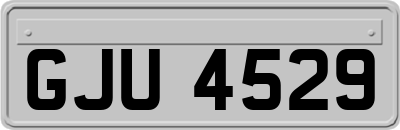 GJU4529