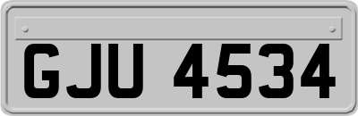 GJU4534