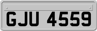 GJU4559