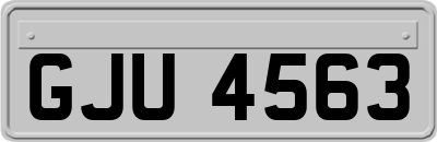 GJU4563