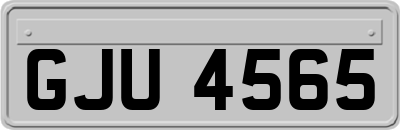GJU4565