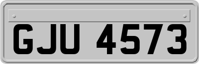 GJU4573