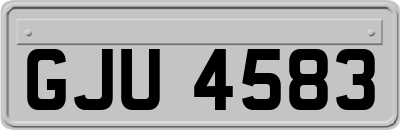 GJU4583