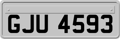 GJU4593