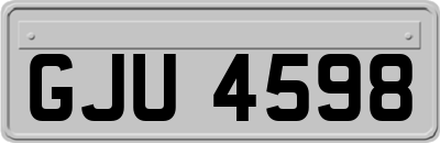 GJU4598