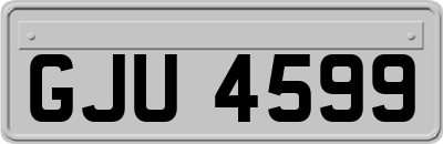 GJU4599