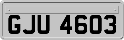 GJU4603
