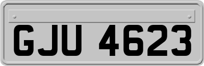 GJU4623