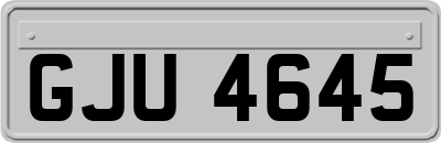 GJU4645