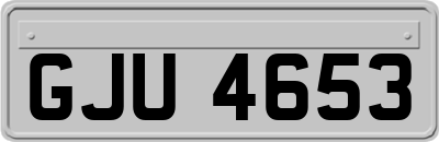 GJU4653
