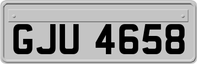 GJU4658