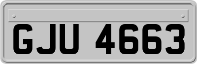 GJU4663