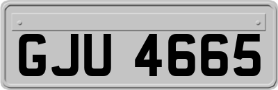 GJU4665