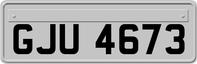 GJU4673