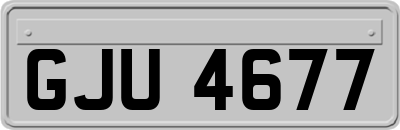 GJU4677