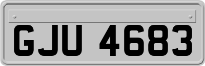 GJU4683