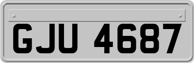 GJU4687