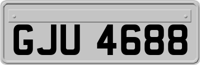 GJU4688