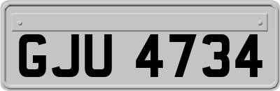 GJU4734