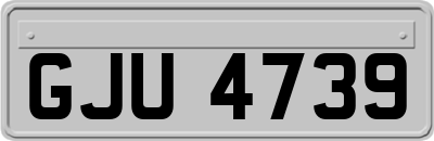 GJU4739
