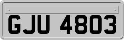 GJU4803
