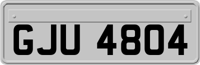 GJU4804