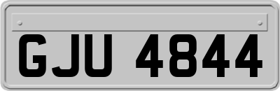 GJU4844