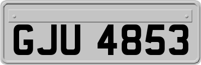 GJU4853