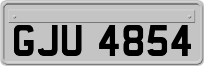 GJU4854