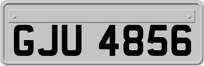 GJU4856
