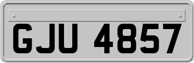 GJU4857